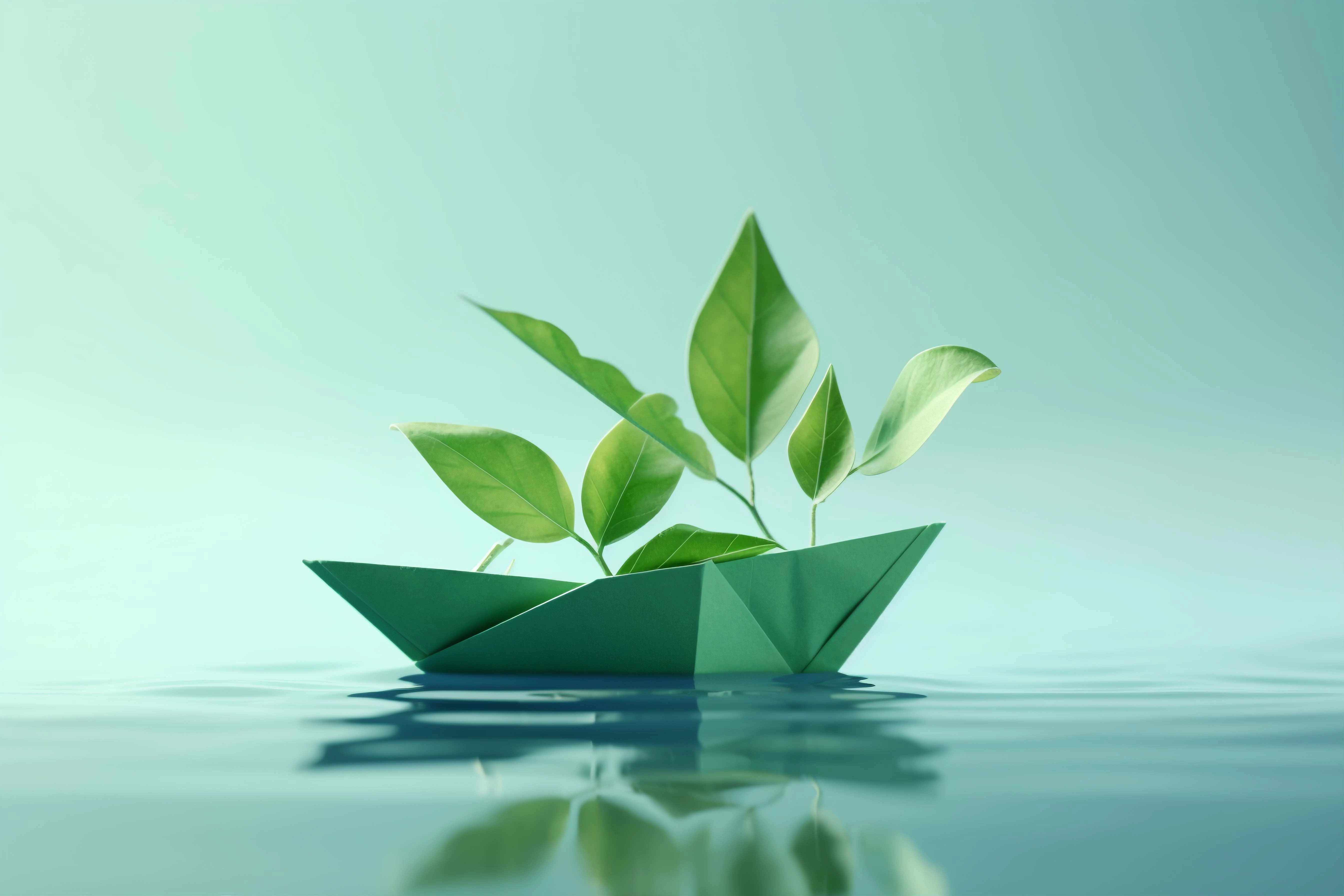 Sustainable Growth